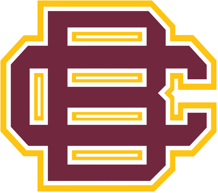 Bethune-Cookman Wildcats 2010-Pres Primary Logo iron on transfers for clothing